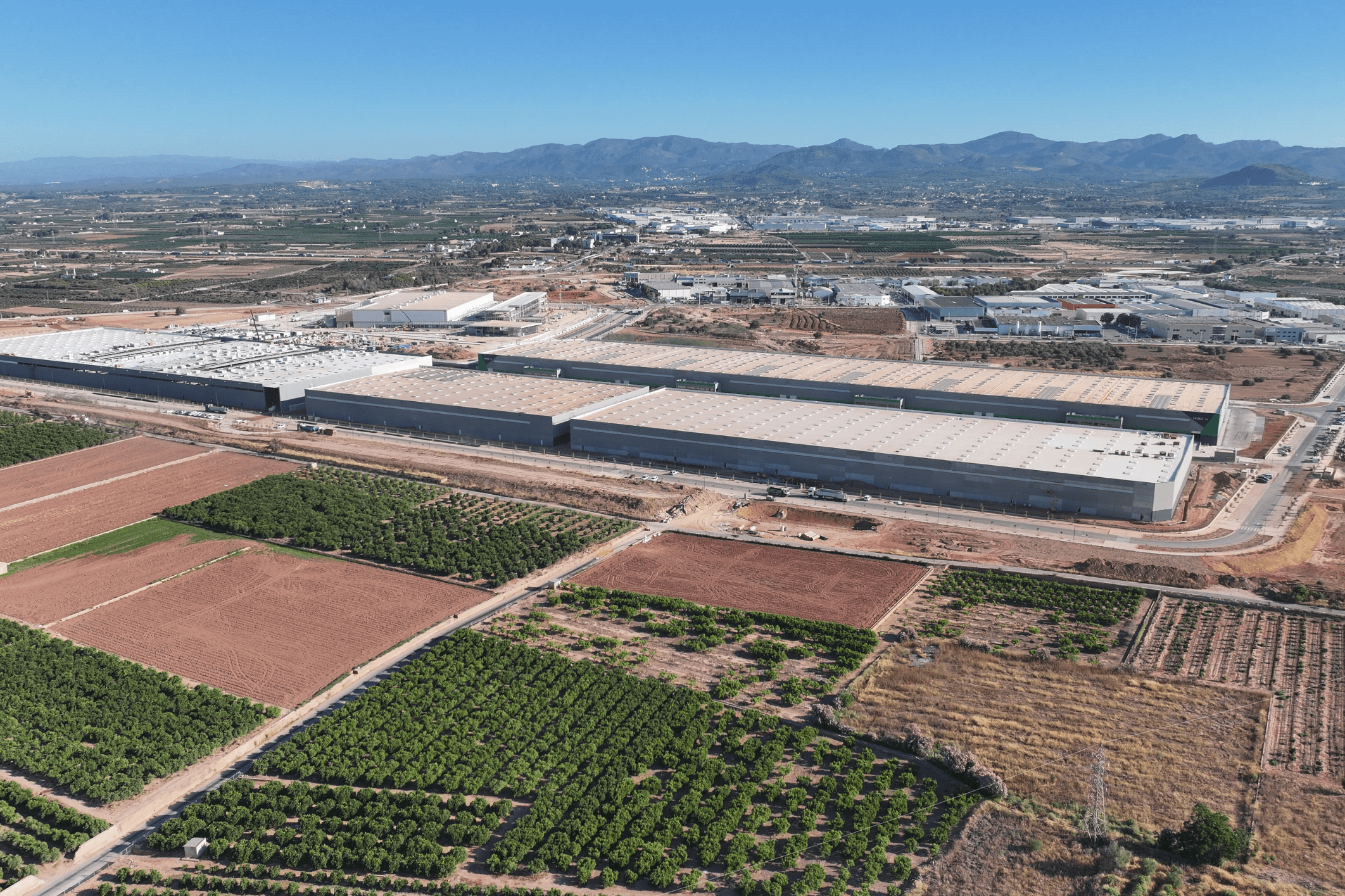 Estudio de Mercado Logística Valencia | TRIANGLE REM